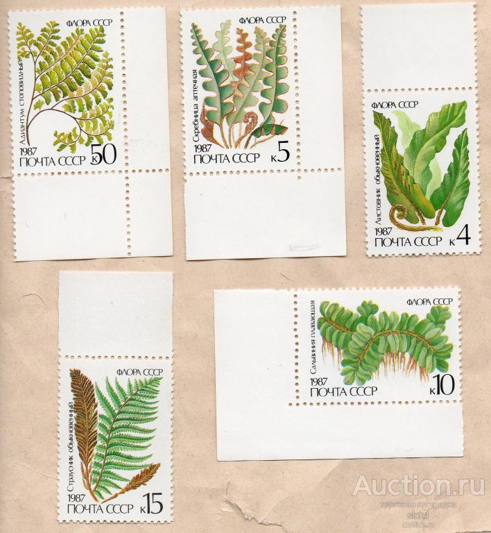 СССР 1987 Флора Растения Папоротники ** ЧИСТ