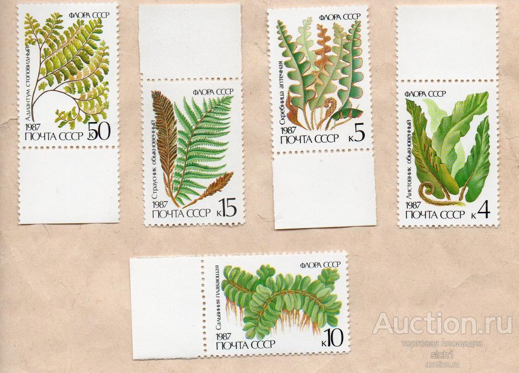 СССР 1987 Флора Растения Папоротники ** ЧИСТ