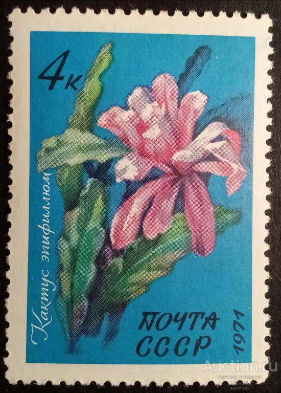 СССР 1971 г. № 4082**. Кактус эпифиллюм.