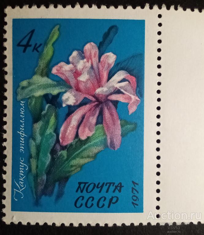 СССР 1971 г. № 4082**. Кактус эпифиллюм.