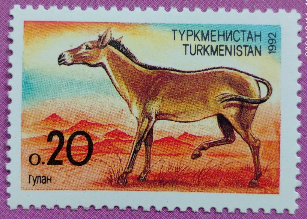 Туркменистан 1992 Туркменский кулан / Животные (фауна) / Млекопитающие (Михель TM 2)