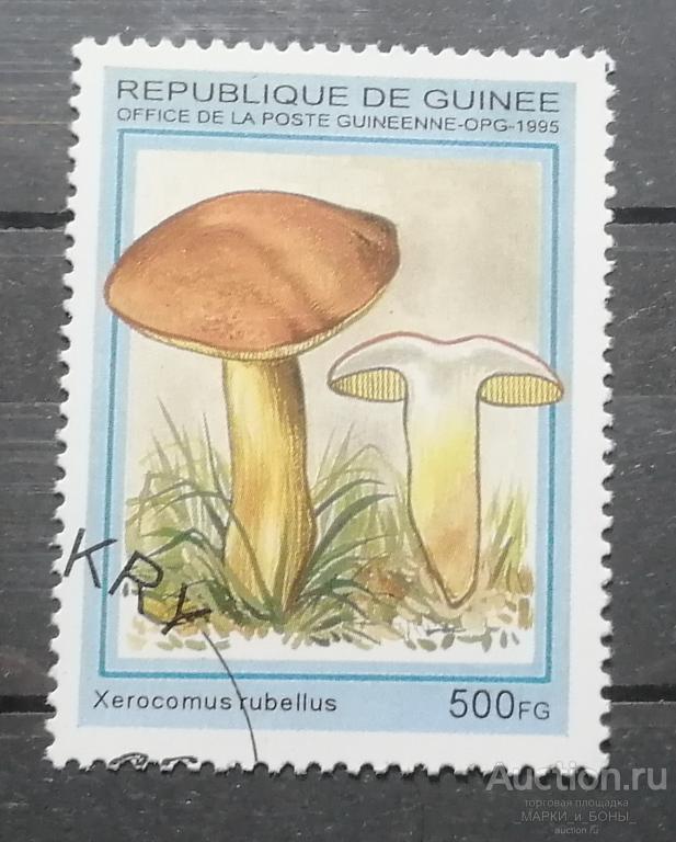 1995 ГВИНЕЯ. Грибы. Гашение (8-191)