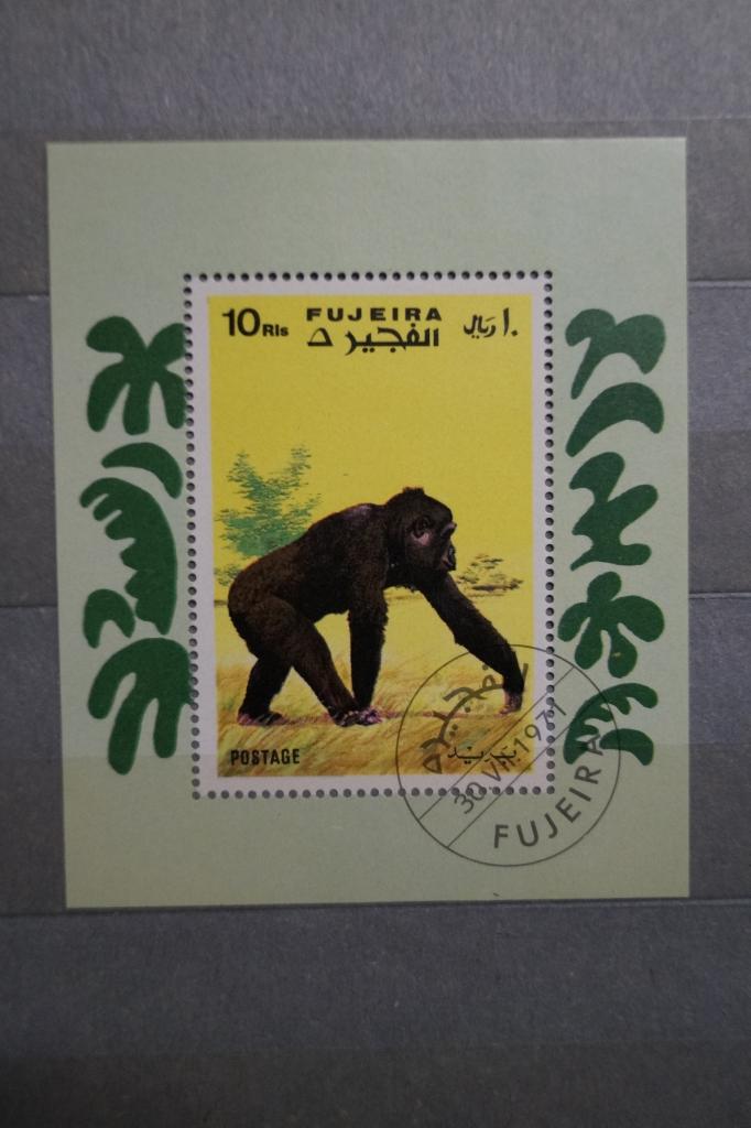 Фуджейра 1971г. Обезьяны Блок + 5 марок