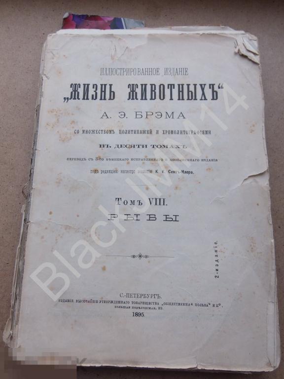 1895 г. Иллюстрированное издание "Жизнь животных" А.Э. Брэм Том VIII Рыбы