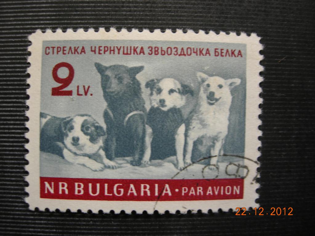 Болгария 1961  космос - собаки   CTO