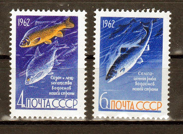 Марки СССР 1962 № 2732-2734 Рыбы Серия 2 марки MNH ** Фауна