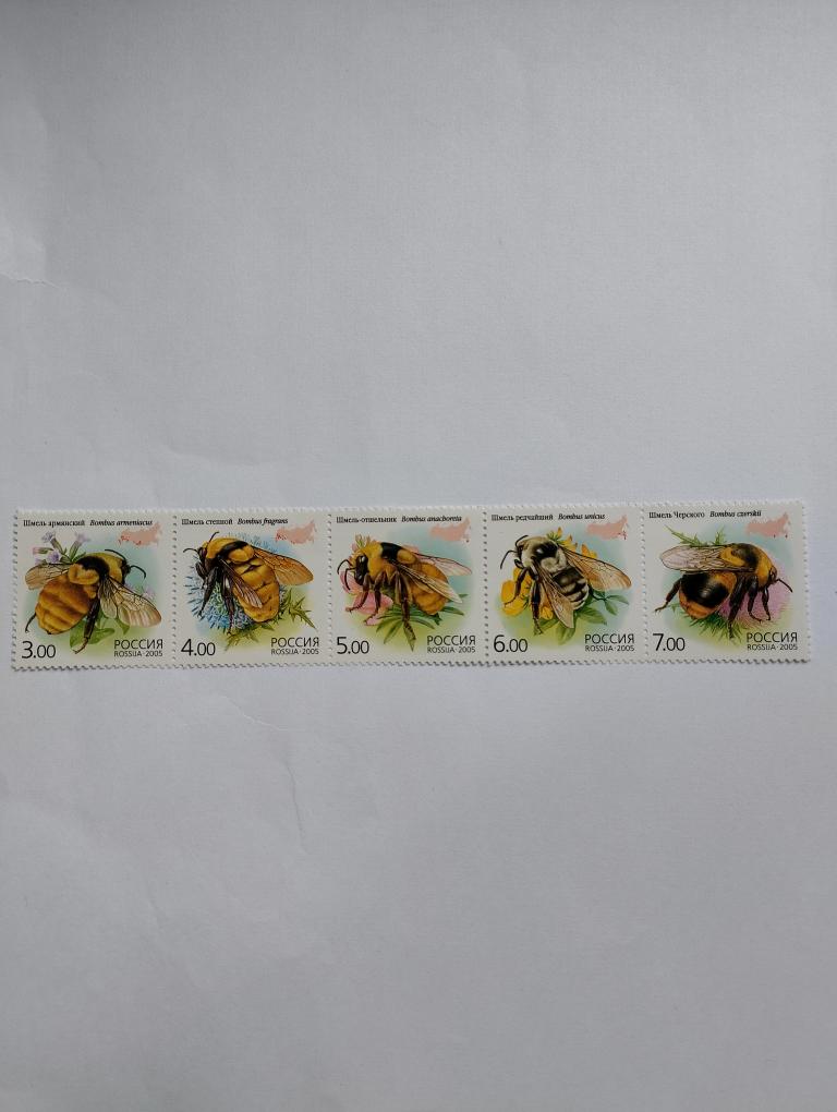 Россия. 2005 г. Фауна. Шмели. Чистая, сцепка. Загорский №1034 - 1038.