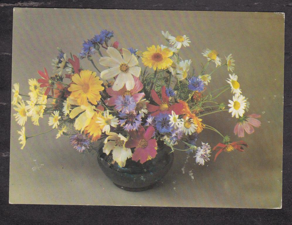 1987 Композиция из цветов Фото Савалова (14)