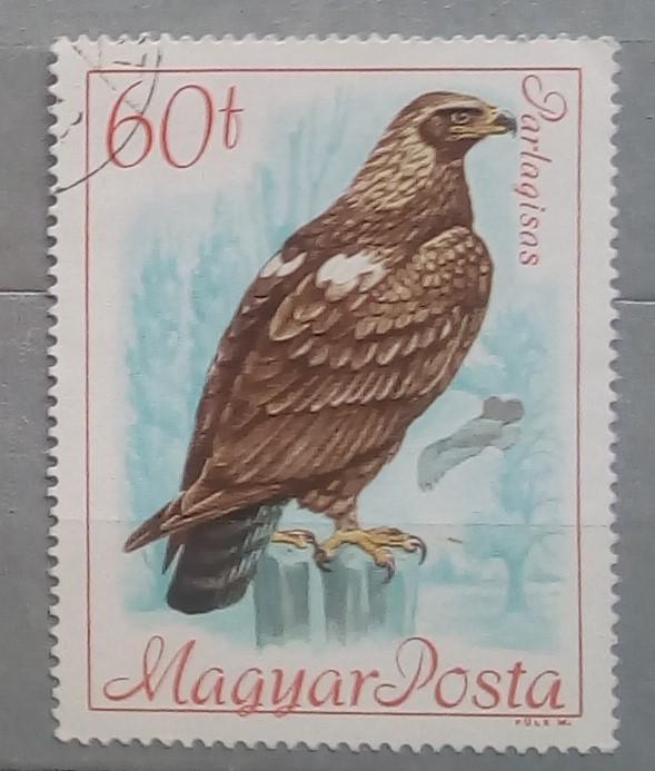 Венгрия 1968. Фауна. Птицы. Орел.