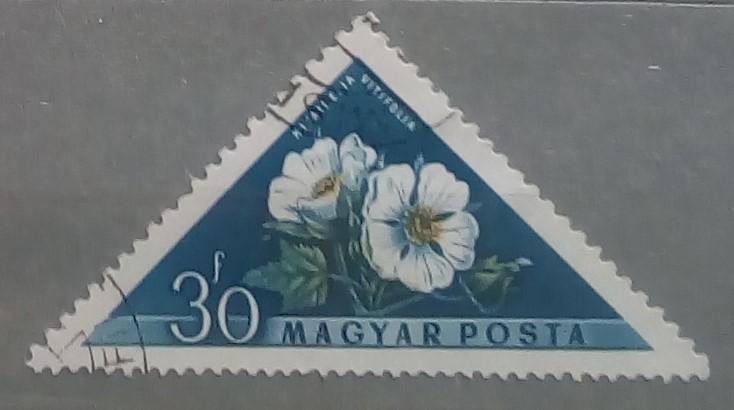Венгрия 1958. Фауна. Цветы. Растения.