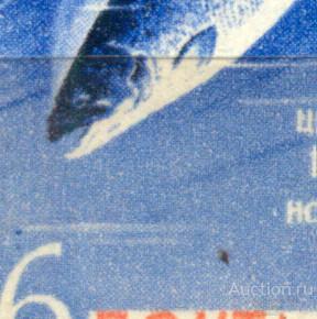 раз СССР 1962  СК 2645 **  фауна рыбы семга икринка