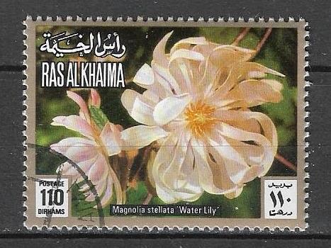 Рас - эль - Хайма 1972 г.  Цветы растения Флора, гаш.