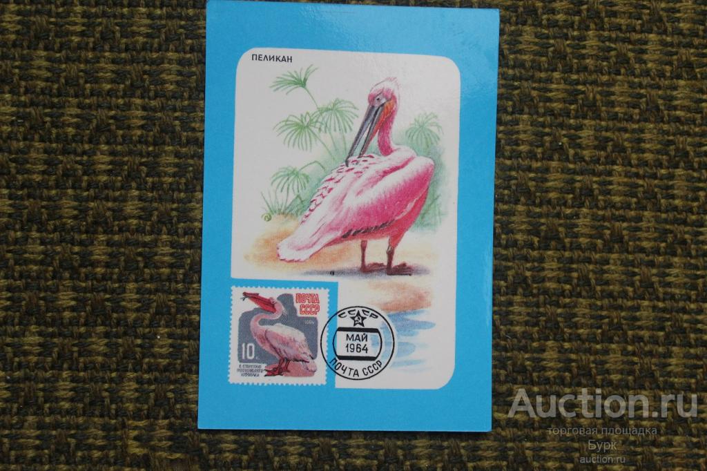 карманный календарик 1990 ВОФ Пеликан филателия фауна