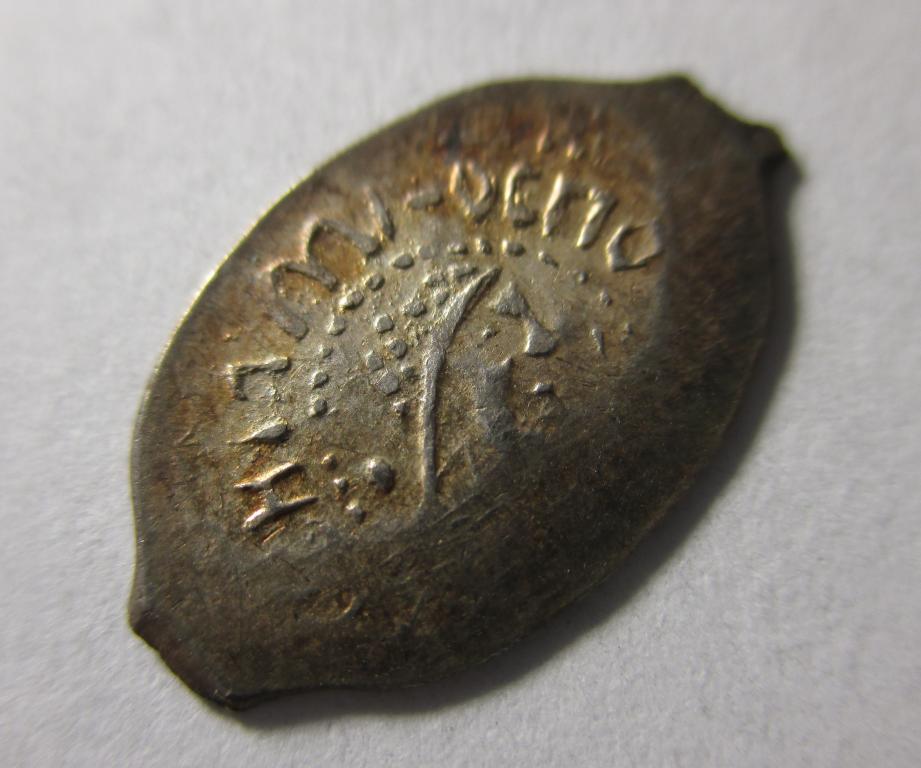 Василий II Темный (1425-1462), чешуя удельная.