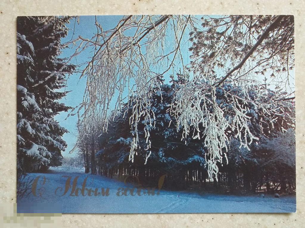 А137 Буркина С Новым годом! 1989 г. чистая Зимний лес