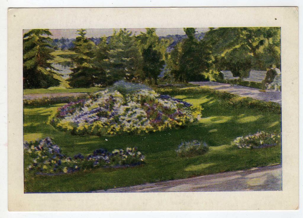 С.А.ВИНОГРАДОВ Цветник (283)