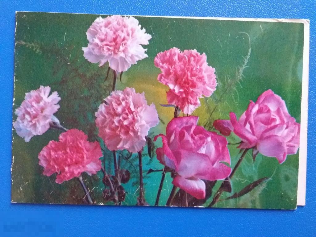 А266 Костенко Поздравляем! 1978 г. чистая гвоздики розы