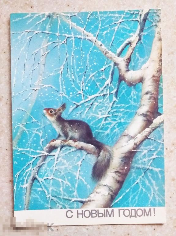 А367 Исаков С Новым годом! 1988 г. лес белка зима чистая животные 