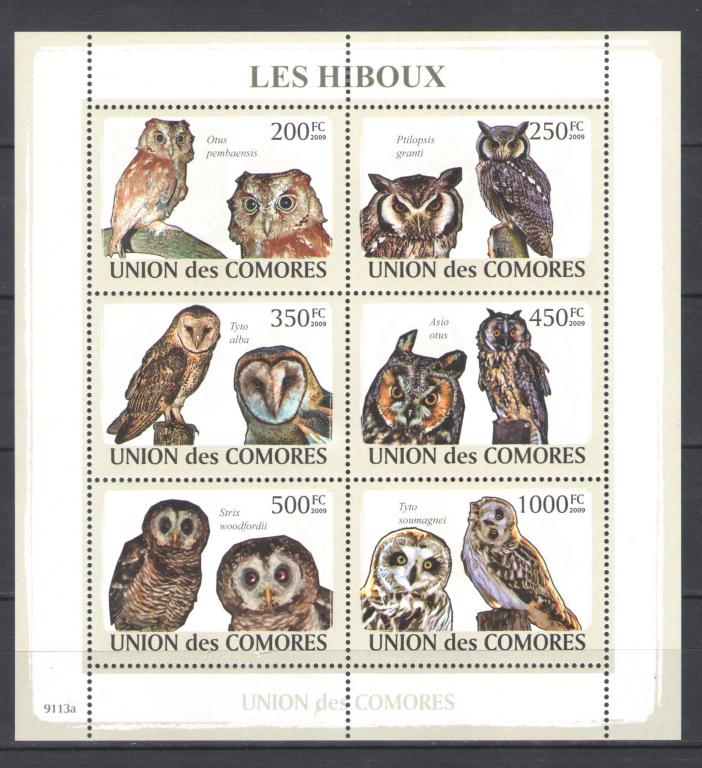 Коморы 2009г.  Совы, лист. MNH.