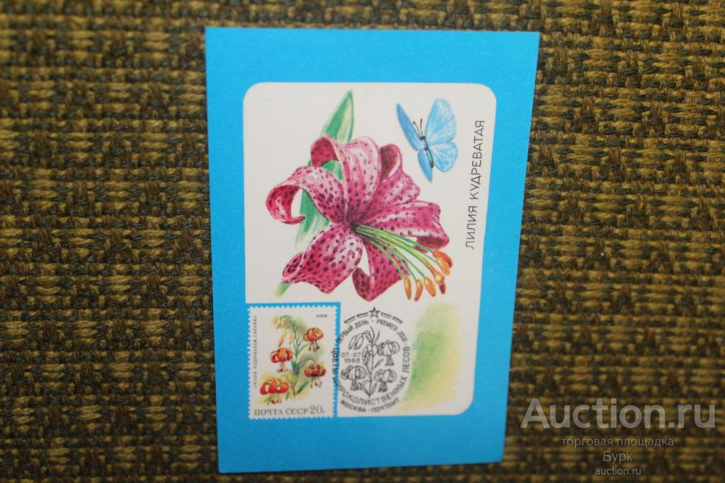 карманный календарик 1990 ВОФ Лилия кудреватая филателия флора цветы