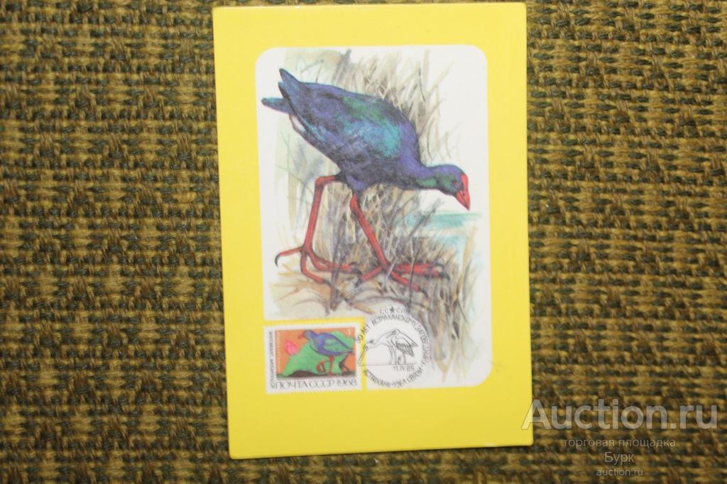 карманный календарик 1988 ВОФ Птица филателия фауна