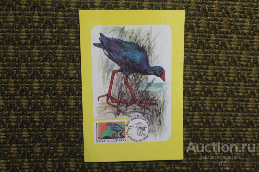 карманный календарик 1988 ВОФ Птица филателия фауна