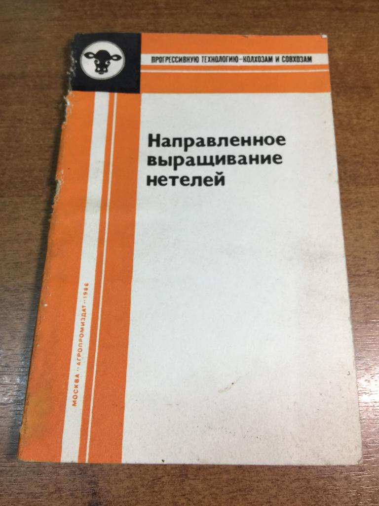 1986 г. Направленное выращивание нетелей. Животноводство. Зоотехника. Мясное животноводство. Стадо