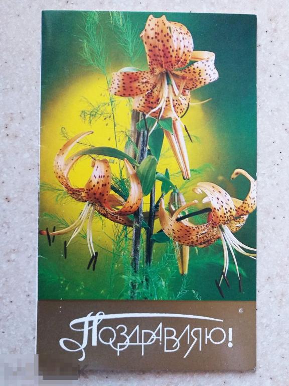 А412  Костенко Поздравляю 1986 г. Лилия Чистая