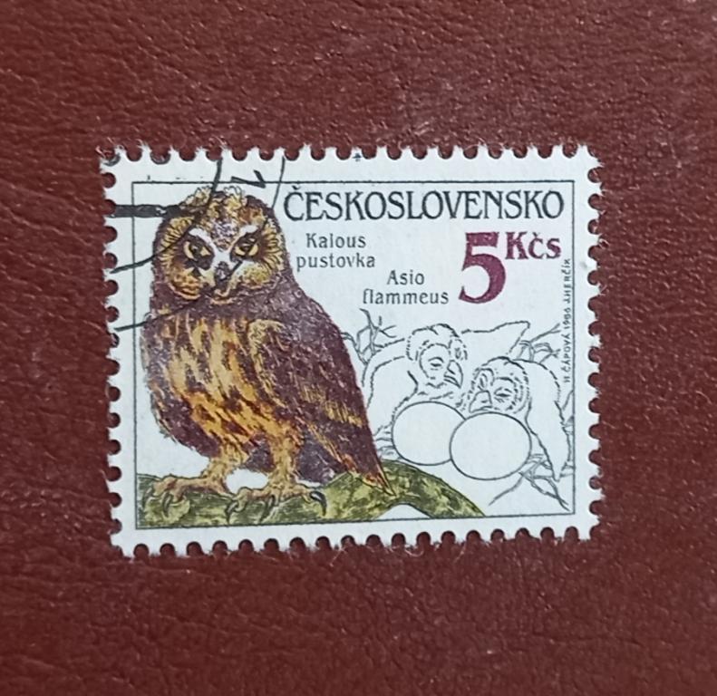 Чехословакия 1986 год Фауна Птицы Совы Ушастая сова Гаш