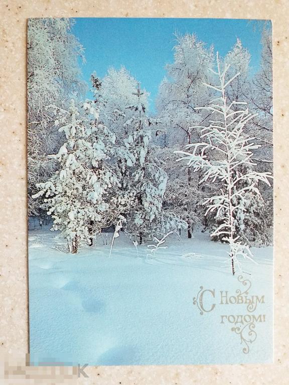 А507  Буркина С Новым годом! 1990 г. ёлка природа чистая