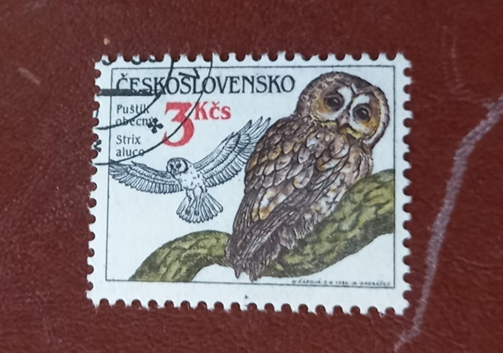 Чехословакия 1986 год Фауна Птицы Совы Неясыть Гаш