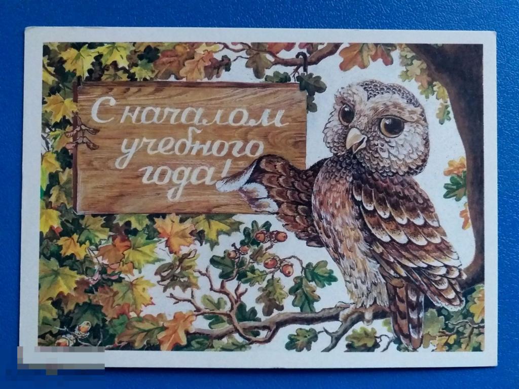 А574  Похитонова С началом учебного года! 1 сентября 1985 г. сова школа Чистая