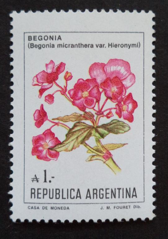 Аргентина 1985 г.  Флора  Цветы  Бегония  **   Л.12