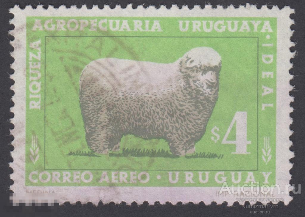 Марка Уругвай 1967 год. Овца Ovis ammon aries домашнее жвачное парнокопытное животное  Редкость!