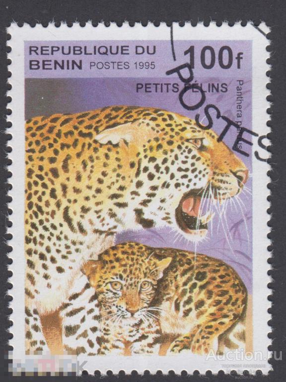 Марка Бенин 1995 год. Леопард Вид хищных млекопитающих семейства кошачьих Тигры и львы