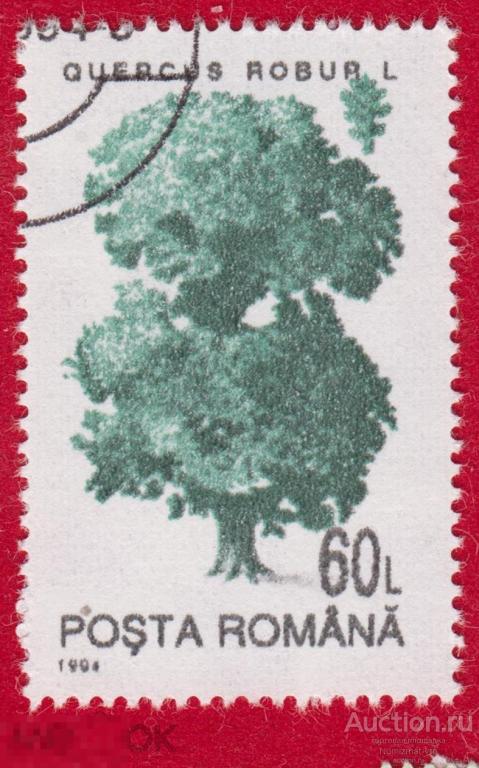 Марка Румыния 1994 год. Дуб черешчатый Семейство Буковые Fagaceae деревья. дерево.