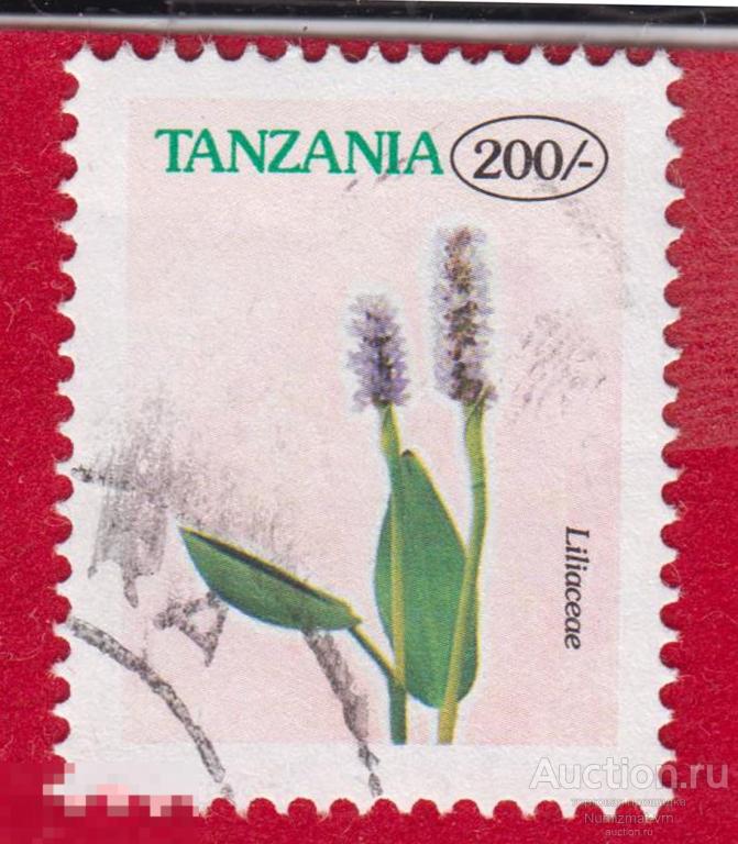 Марка Танзания 1997 год. Семейство лилейные Liliaceae Лилия Цветы лилии