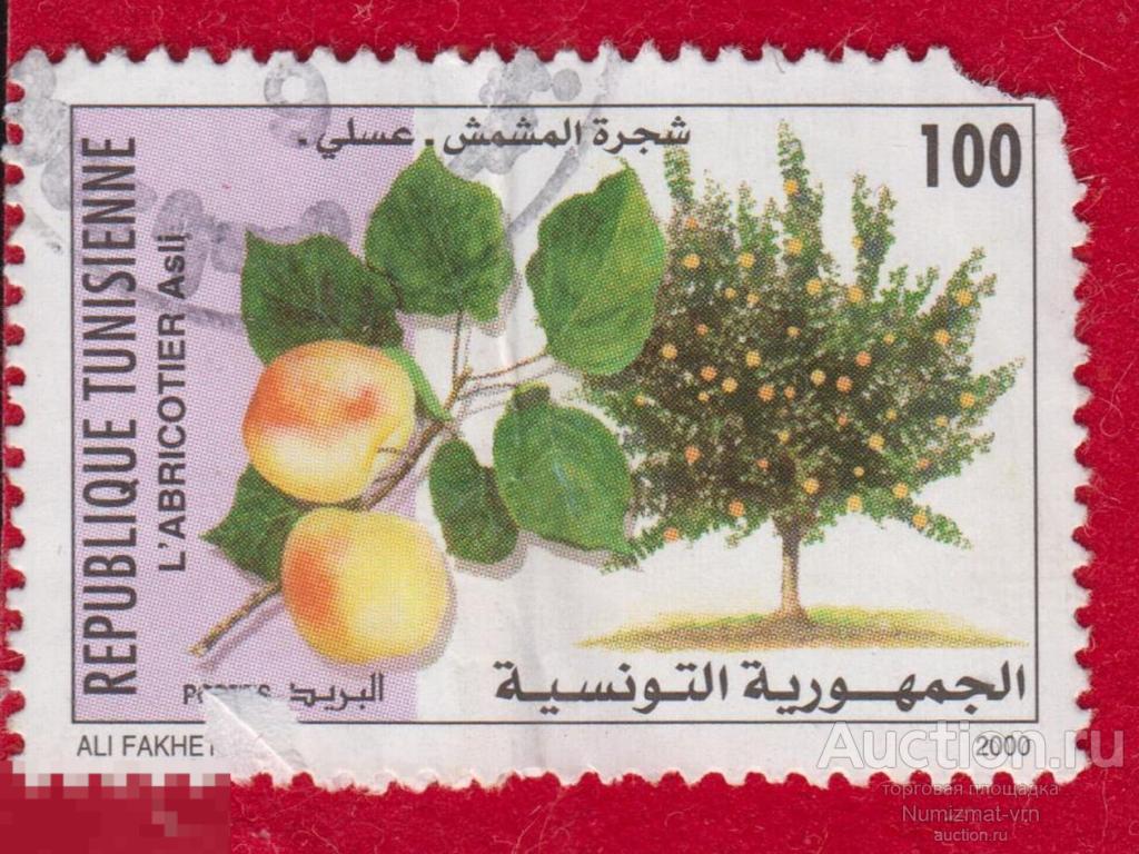 Марка Тунис 2000 год. Абрикос Весткот Prunus mandshurica 'Westcot' фруктовые деревья. Фрукты