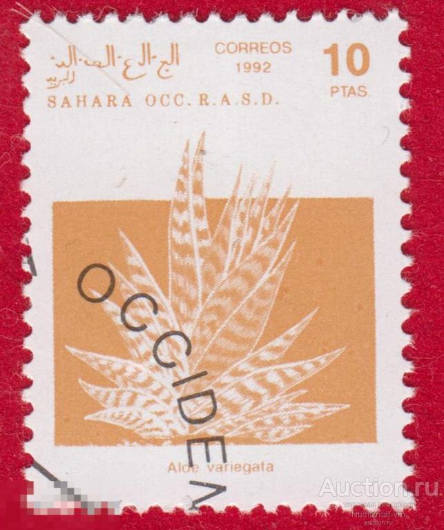 Марка Западная Сахара 1992 год. Алоэ семейства Асфоделовые подсемейства Асфоделовые Цветы