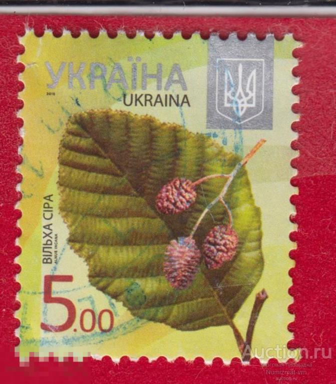 Марка Украина 2012 год. Ольха сердцевидная рода Ольха семейства Берёзовые Деревья