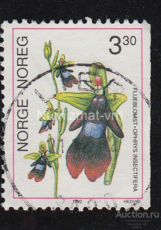 Марка Норвегия 1992 г. Фауна Норвегии. Жуки. Насекомые. Фауна мира.