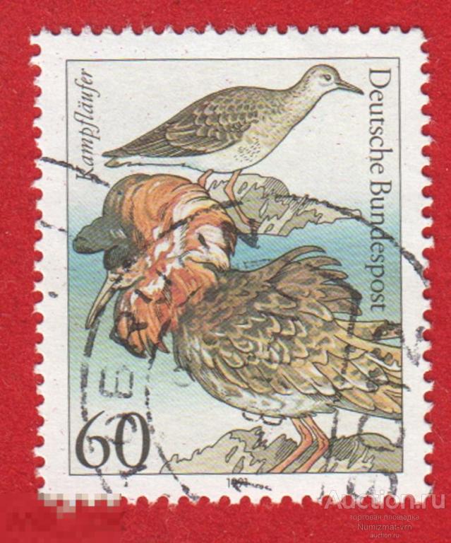 Марка Германия 1991 год. Турухтан — птица из семейства бекасовых. Турухтан Kampfläufer