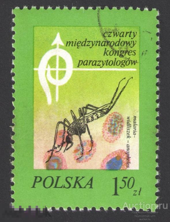 Марка Польша 1978 год. Малярийные комары Переносчики паразитов человека насекомые