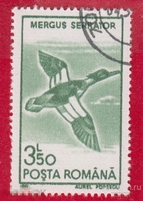 Марка Румыния 1961 год. Средний крохаль Птица семейства утиных.  Кряква Утки