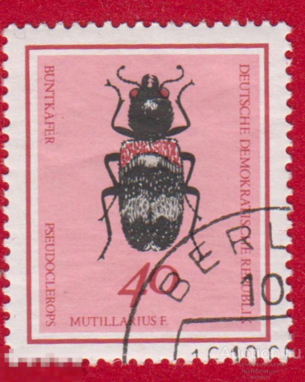 Марка ГДР 1965 год. Clerus mutillarius Fabricius Пестряк пёстрый (Clerus mutillarius F.) Жуки
