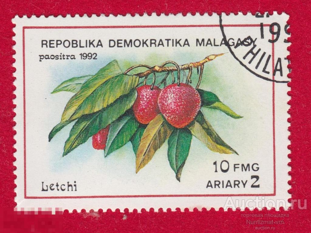 Марка Малагаси 1992 год Личи плодовое дерево семейства Сапиндовых. Экзотические фрукты.