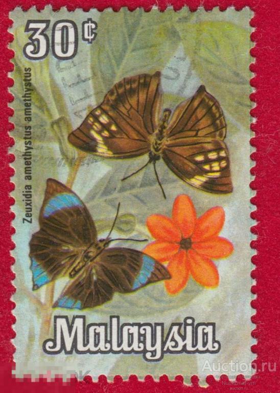 Марка Малайзия 1990 год.Zeuxidia Amethystus обыкновенный Сатурн бабочки семейства Nymphalidae