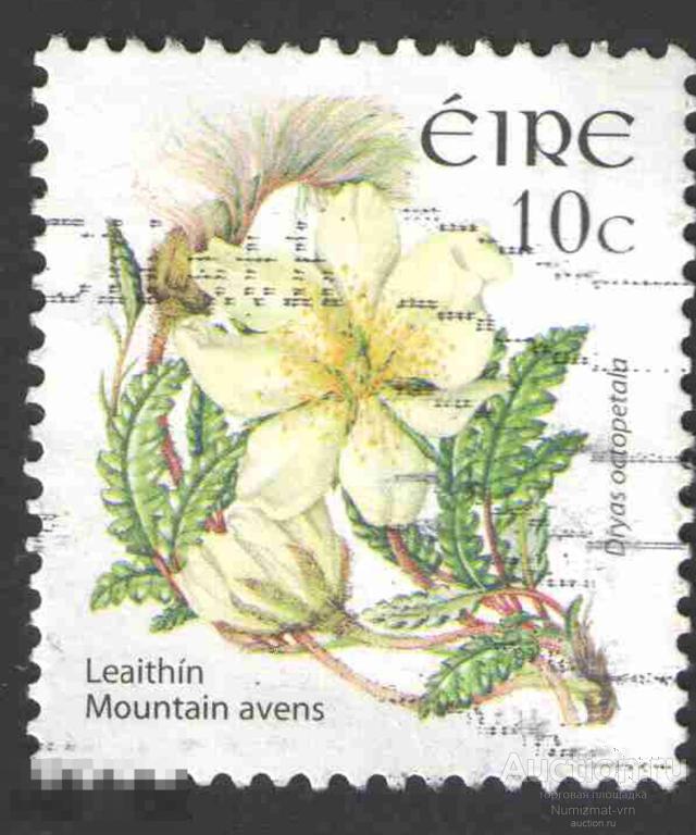 Марка Ирландия 2005 год. Дриада восьмилепестная Куропаточья трава кустарничек Цветы