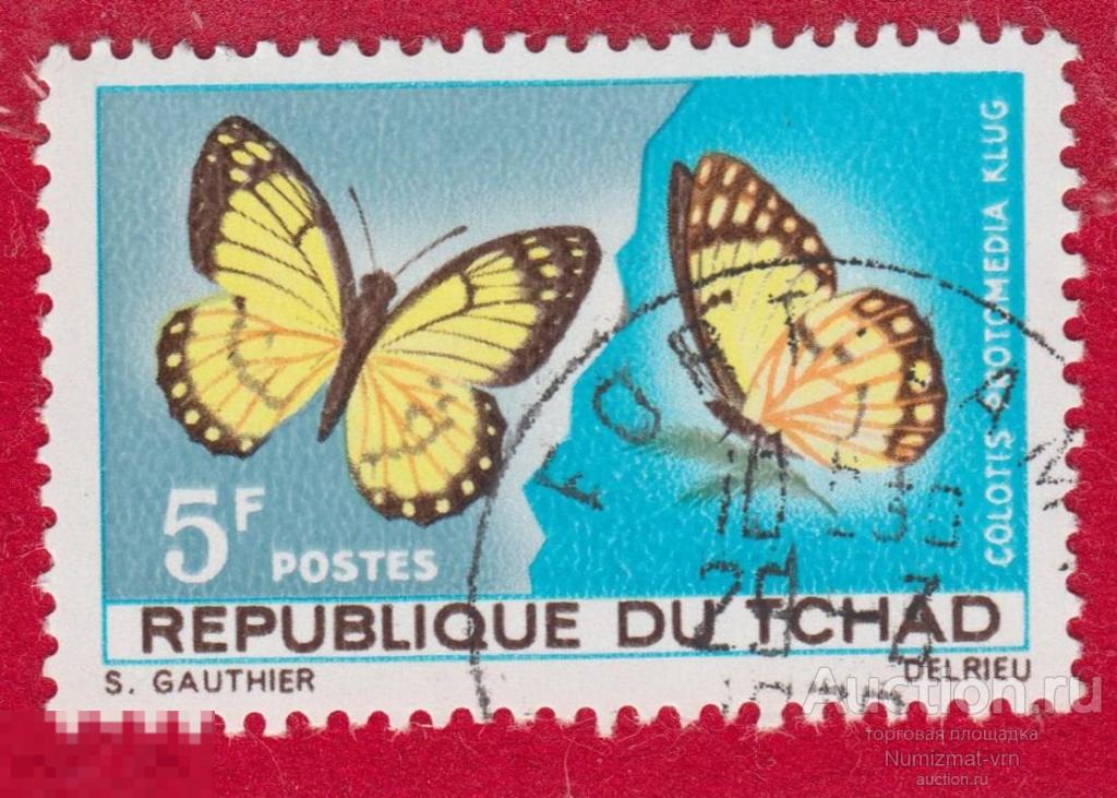 Марка Республика Чад 1973 год. Colotis protomedia бабочка из семейства Pieridae