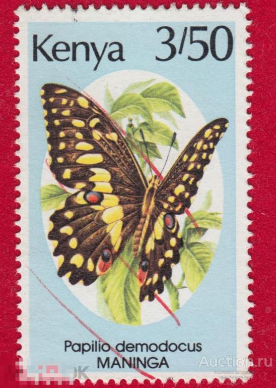Марка Кения 1988 год. Papilio demodocus семейства парусников Редкая африканская бабочка.